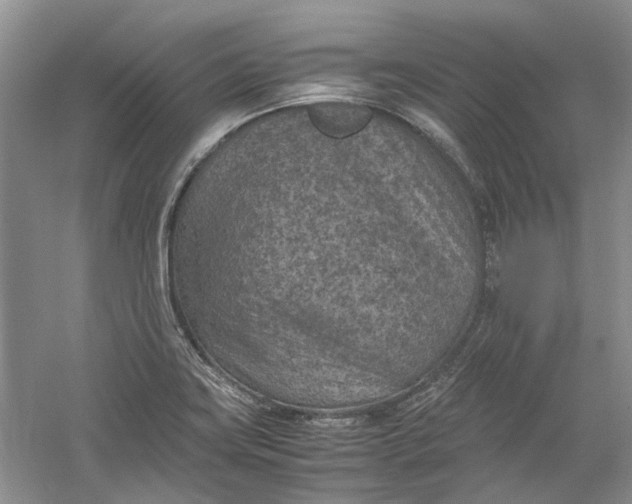 X0000060551419200511171527