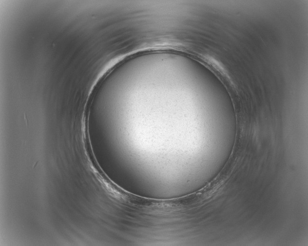 X0000060551420200511171527