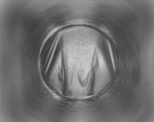 X0000060551424200511171527