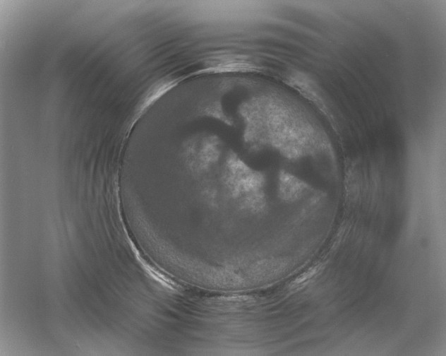 X0000060551425200511171527