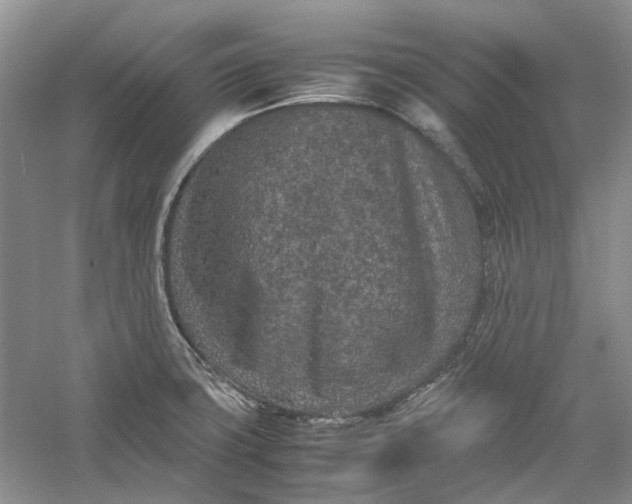 X0000060551427200511171527