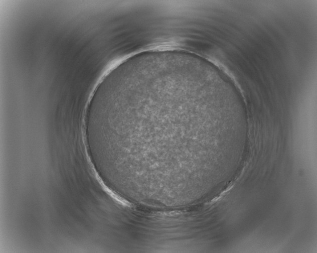 X0000060551429200511171527