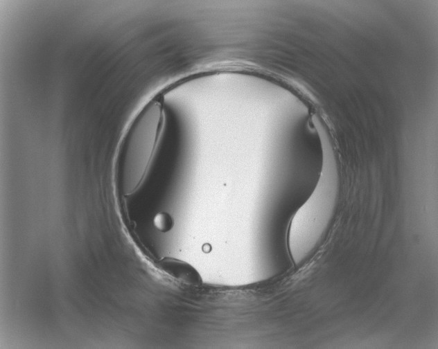 X0000060551430200511171527