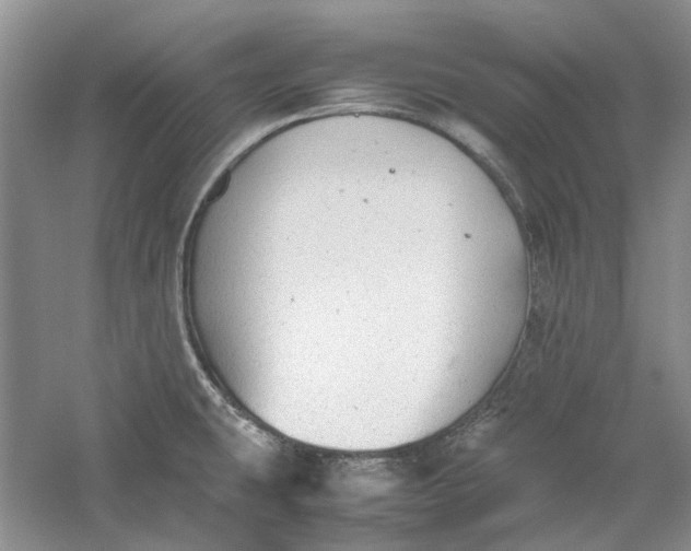 X0000060551431200511171527