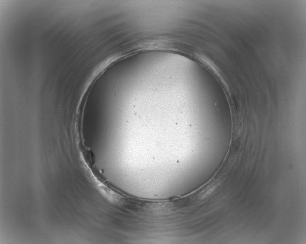 X0000060551434200511171527