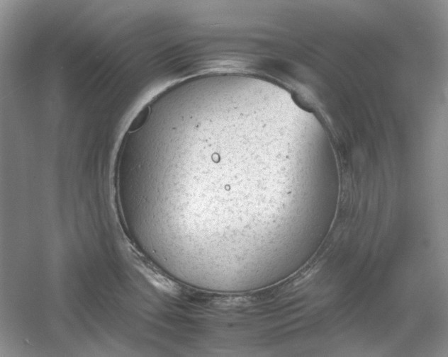 X0000060551435200511171527