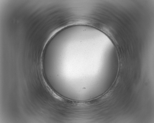 X0000060551436200511171527