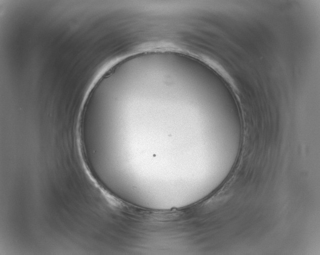 X0000060551440200511171527