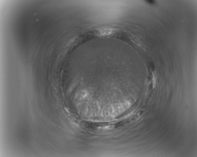 X0000060551441200511171526