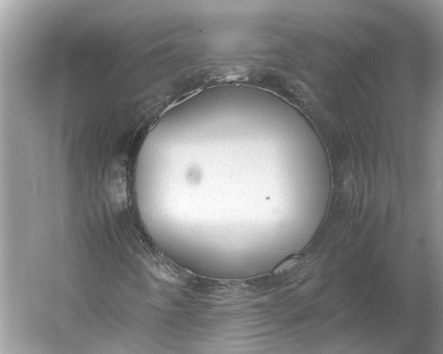 X0000060551442200511171526