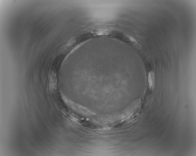 X0000060551443200511171526