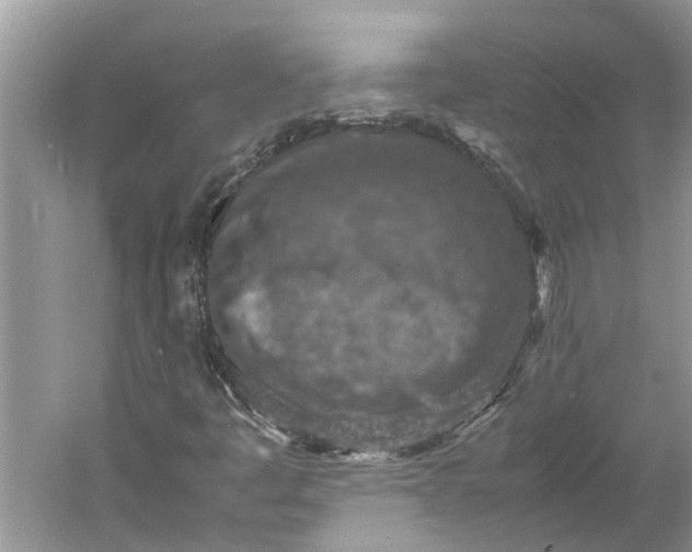 X0000060551445200511171526