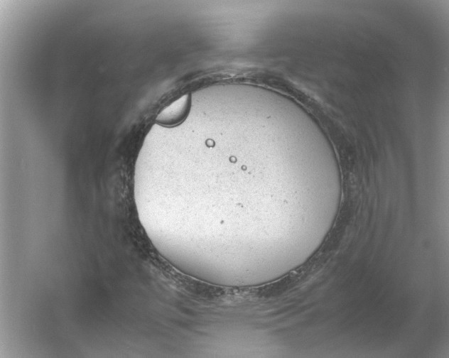 X0000060551447200511171526