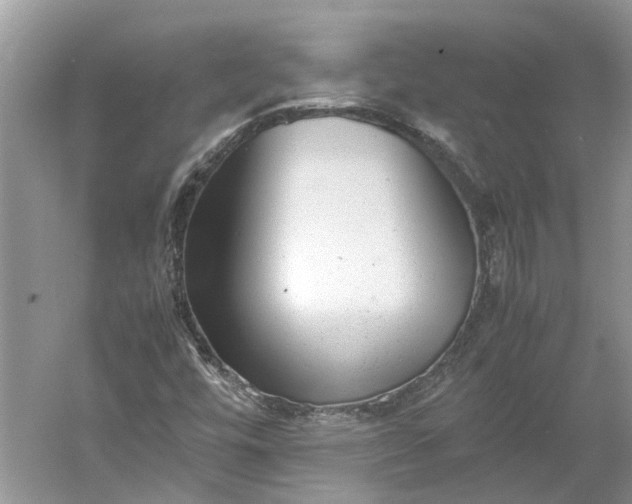 X0000060551448200511171526