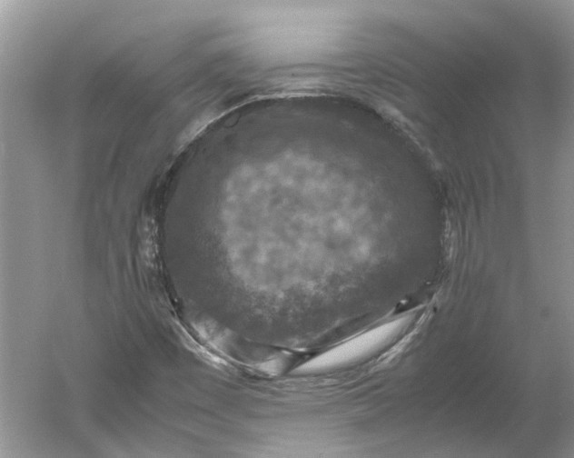 X0000060551449200511171526