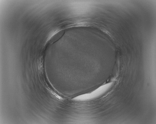 X0000060551450200511171526