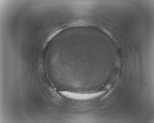 X0000060551453200511171526