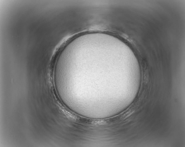 X0000060551454200511171526