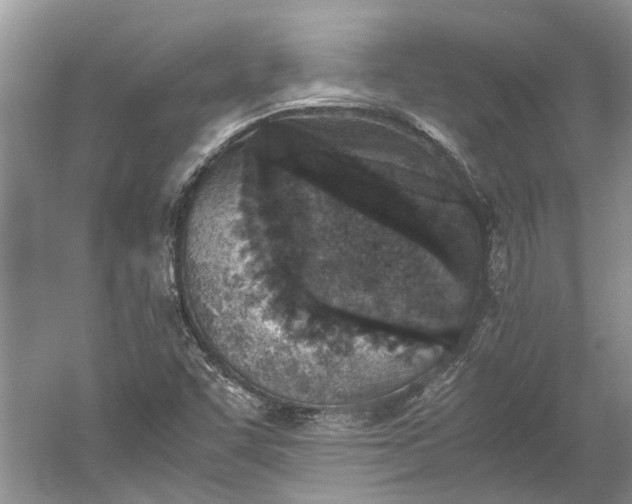 X0000060551455200511171526