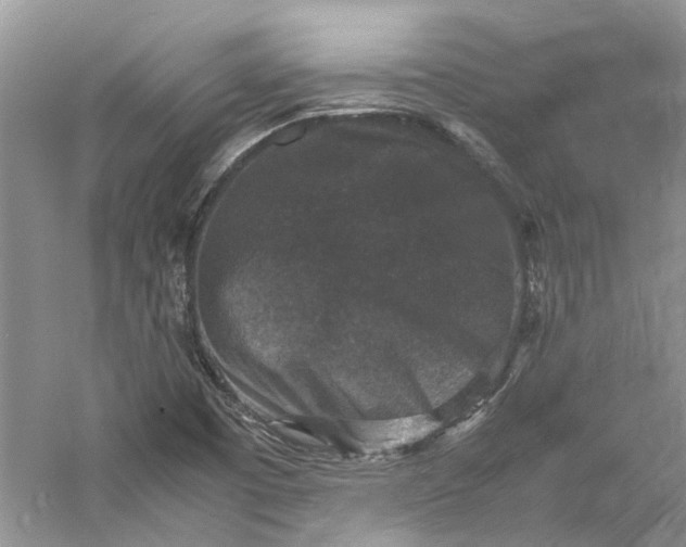 X0000060551457200511171526