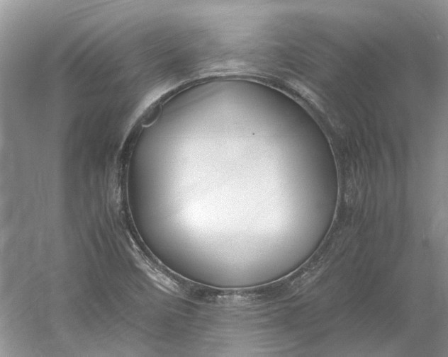 X0000060551458200511171526