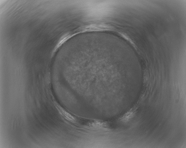 X0000060551459200511171526