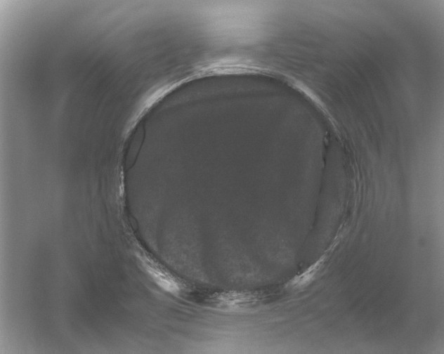 X0000060551461200511171526