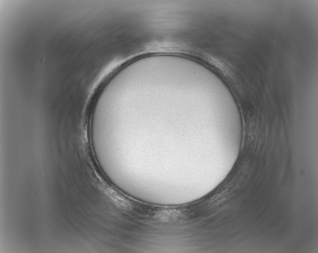 X0000060551462200511171526