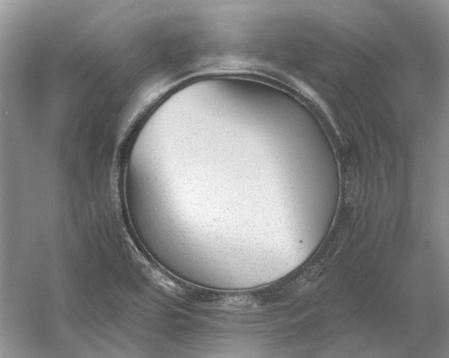 X0000060551464200511171526