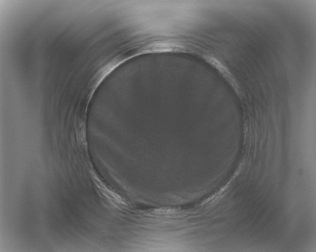 X0000060551465200511171526