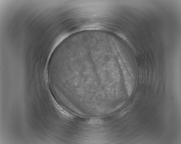 X0000060551466200511171526