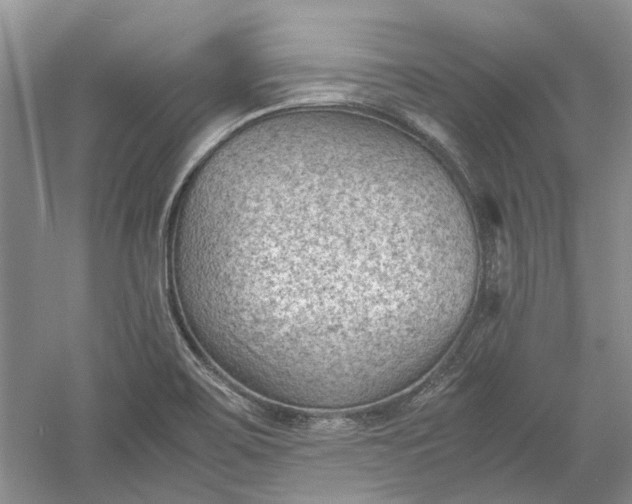 X0000060551467200511171526