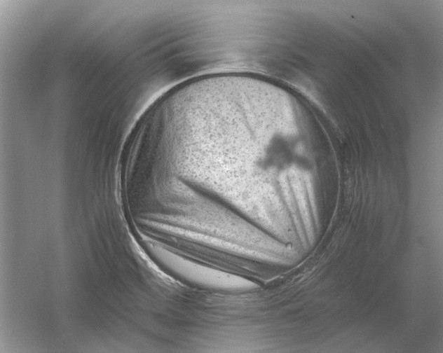 X0000060551468200511171526