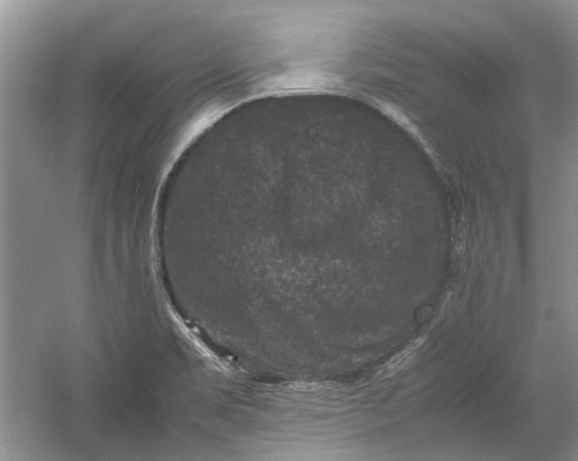 X0000060551469200511171526