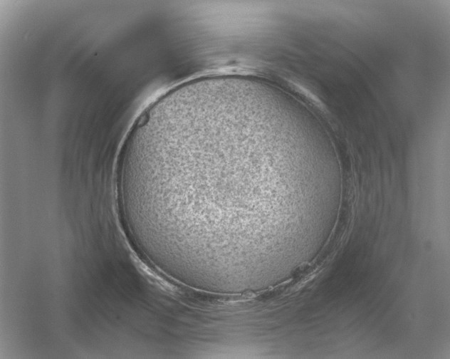 X0000060551471200511171526