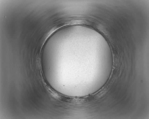 X0000060551473200511171526