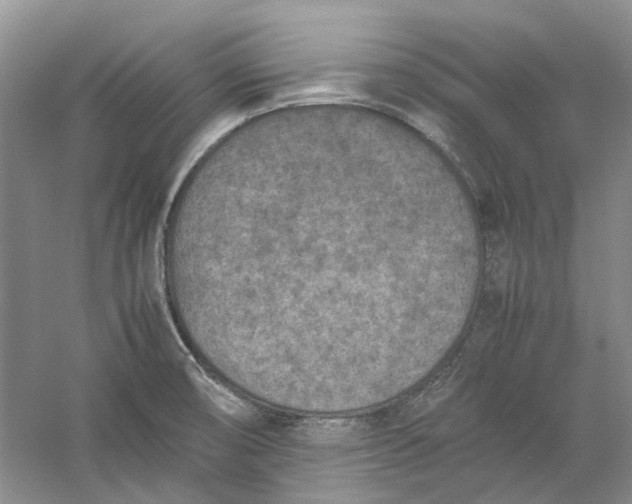 X0000060551474200511171526