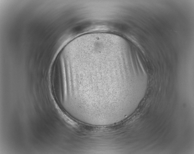 X0000060551475200511171526