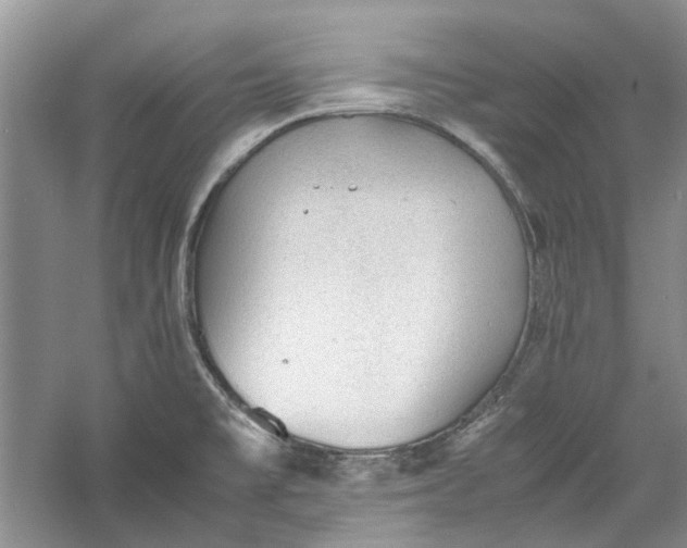 X0000060551477200511171526