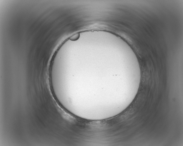 X0000060551478200511171526