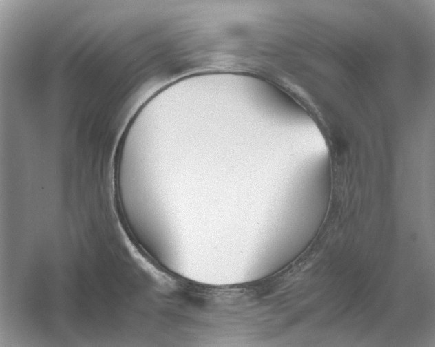 X0000060551479200511171526