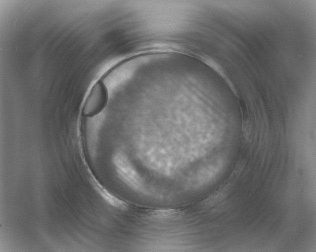 X0000060551482200511171526