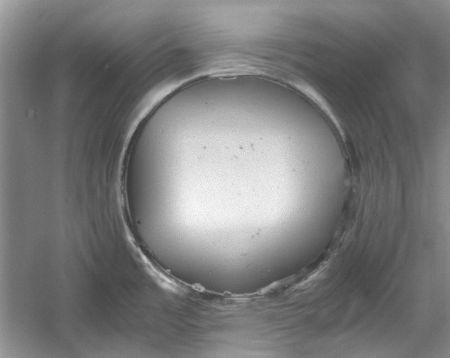 X0000060551485200511171526