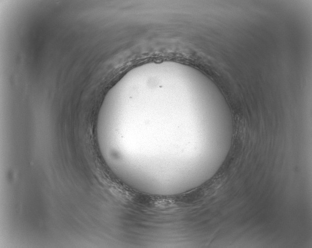 X0000060551489200511171525