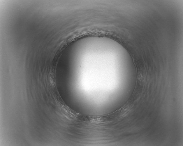 X0000060551490200511171525