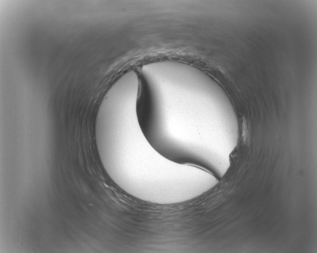 X0000060551492200511171525