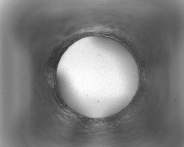 X0000060551493200511171525