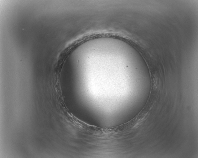 X0000060551494200511171525