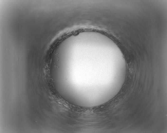 X0000060551495200511171525