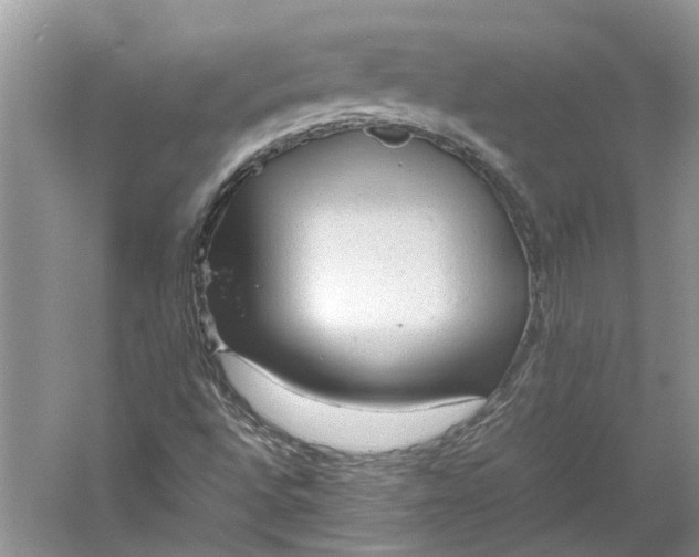 X0000060551496200511171525